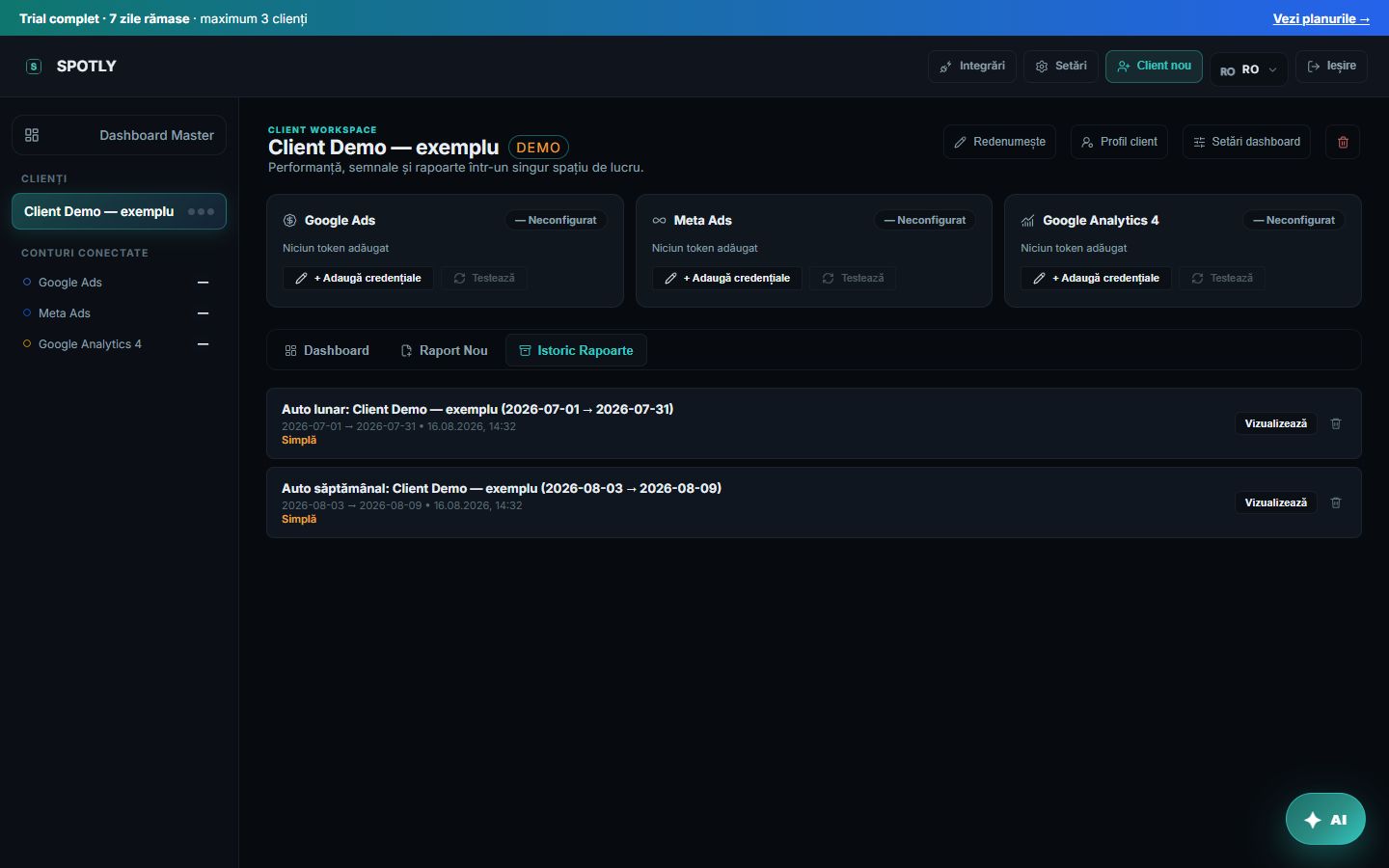 Istoricul rapoartelor automate pentru clientul demo